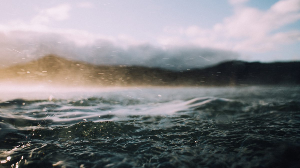 DrDeanMitchell1's tweet image. #FridayFieldUpdate: High levels of #microplastics are present in nearshore ocean waters due to runoff - levels equal to #plankton and therefore readily consumed. A review of the color and composition of #plastics revealed that white and transparent plastics were most ingested.