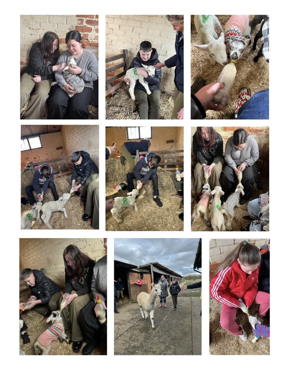 Venn Boulevard Centre tweet media