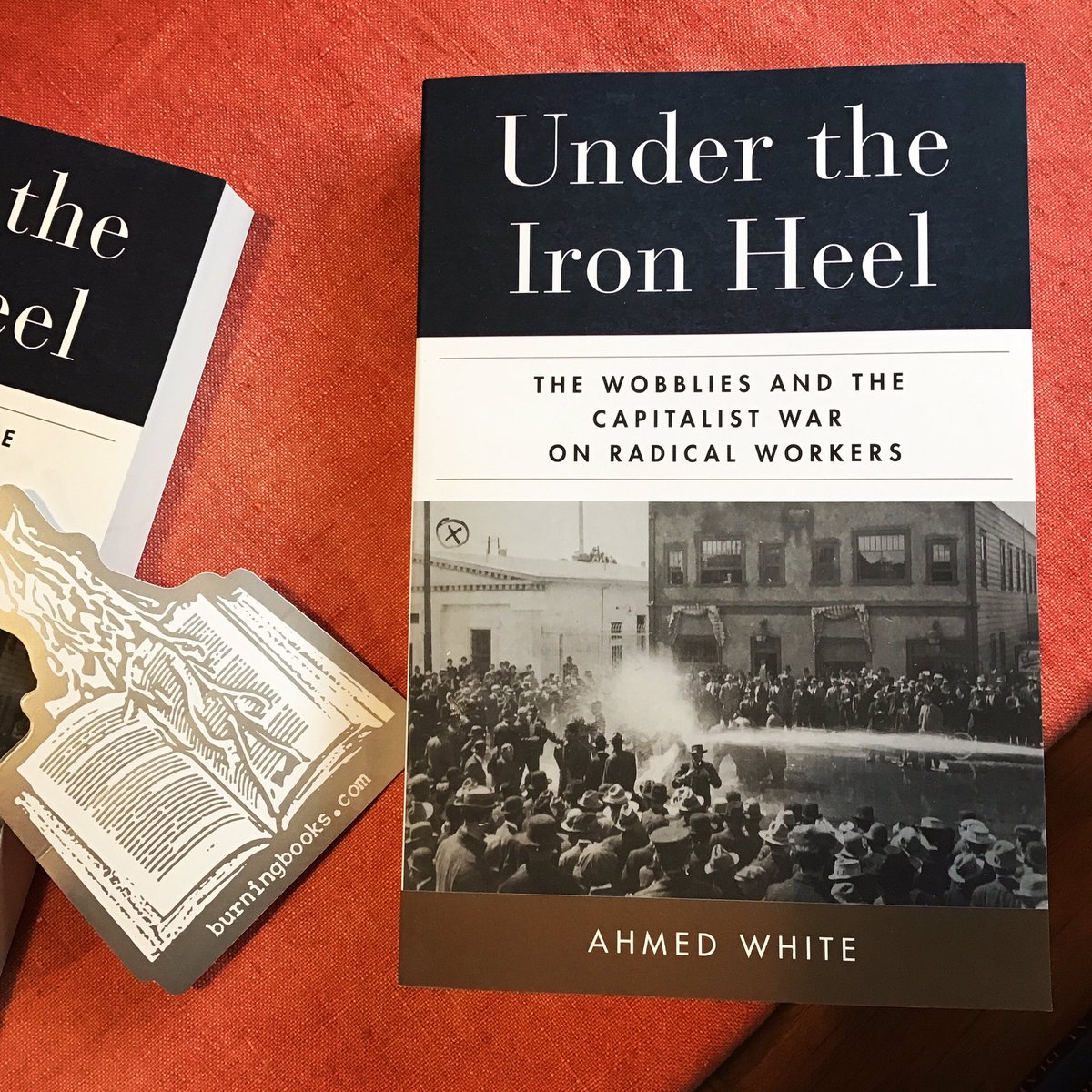 Under the Iron Heel is “a dramatic, deeply researched account of how legal repression and vigilantism brought down the Wobblies--and how the destruction of their union haunts us to this day.” burningbooks.com/products/under…