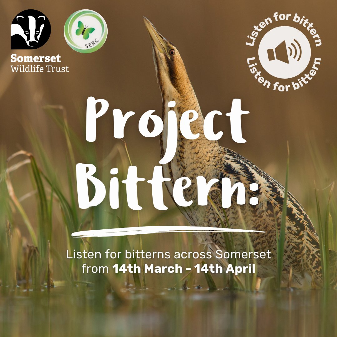 Somerset Wildlife Trust tweet media