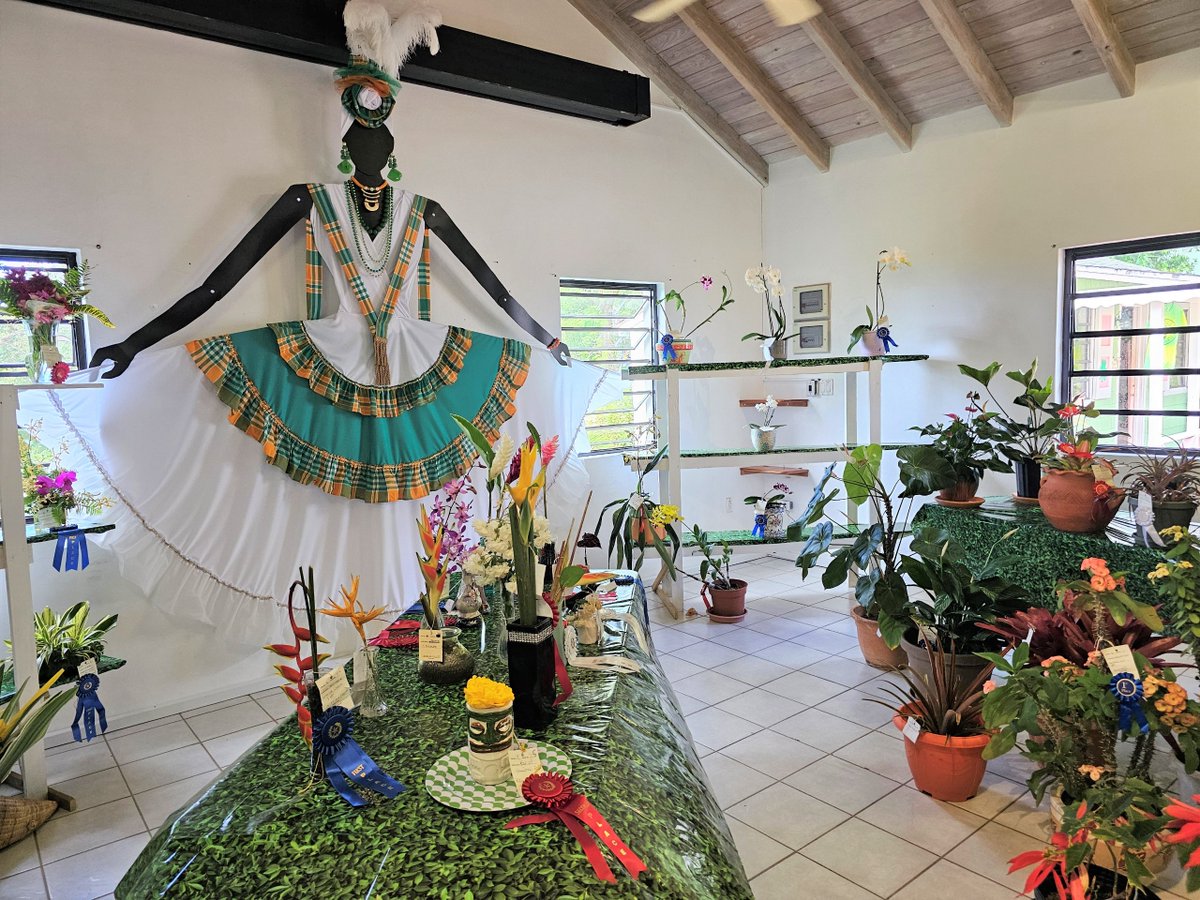 Chief Minister of St Helena tweet media