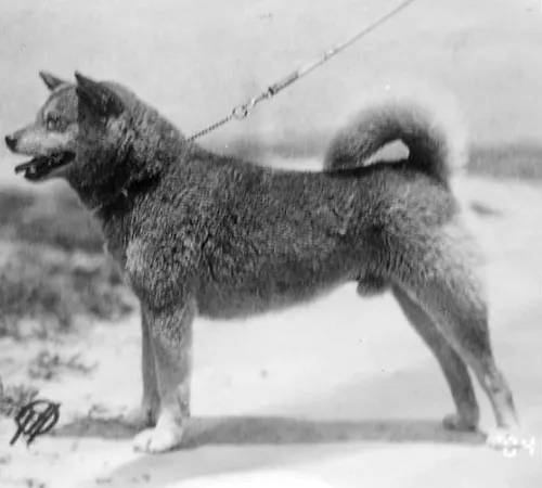 Please head over to the new tg. tweet media