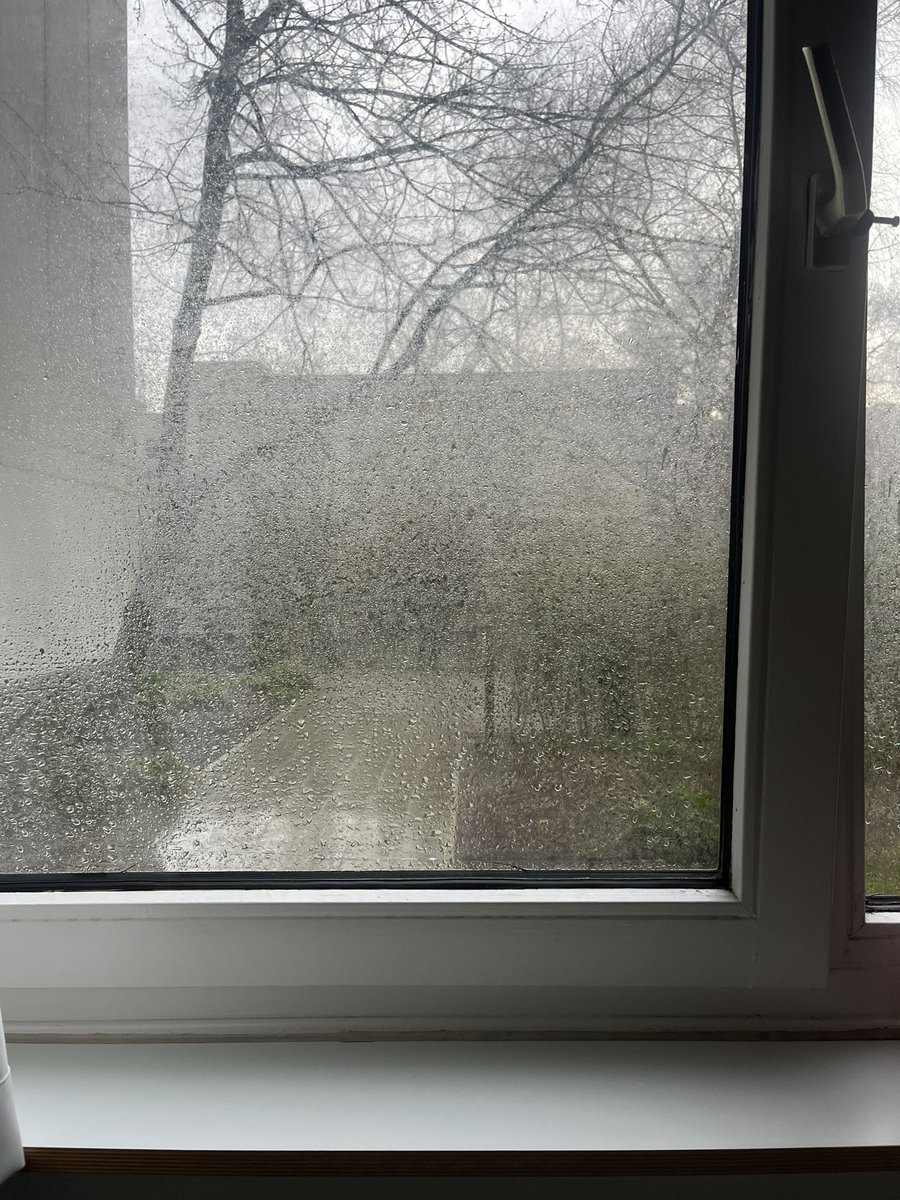 mful_'s tweet photo. 갑자기 비가 오는 함북
evermore 에라가 시작됐기 때문이져
타이밍 기가막힘. . . 
willow 🍂 https://t.co/Yc2s8iPpt8