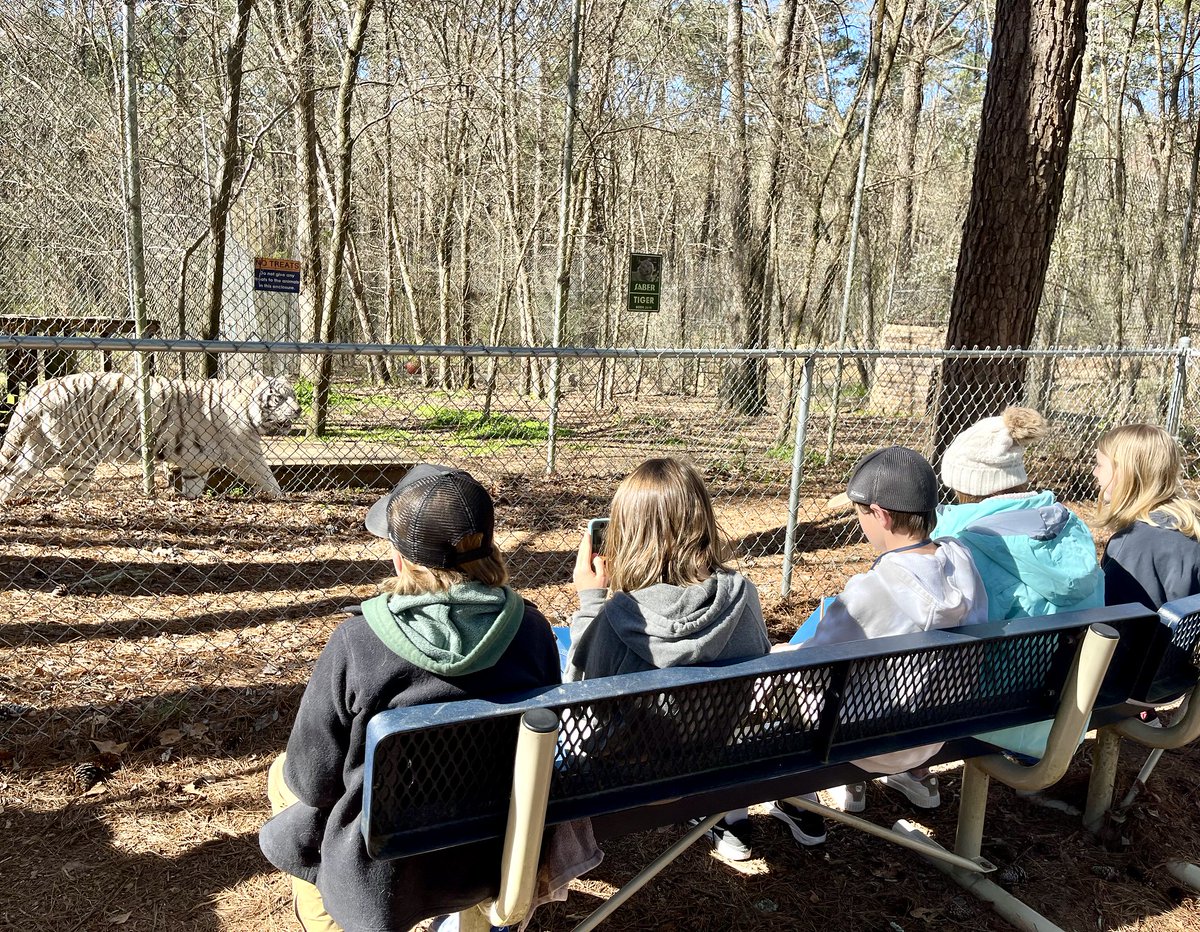 Education is a huge part of what we focus on at CTR and we offer many STEM-focused learning programs. Currently, our March homeschool program is in session! What is something YOU have learned while out at Carolina Tiger Rescue? Let us know in the comments!