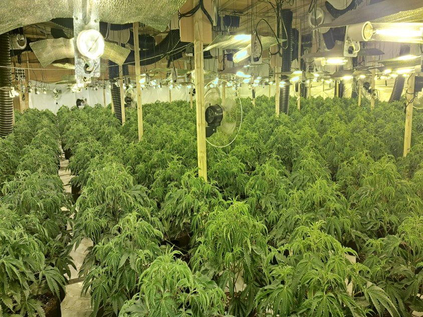DurhamPolice's tweet photo. ✅Ten arrested
✅Multiple lines shut down
✅Estimated £2million worth of drugs seized

During #CountyLinesIntensificationWeek officers carried out warrants at several properties to disrupt drugs gangs selling to and exploiting vulnerable people.

More ➡️ https://t.co/NhP61WOaO5 https://t.co/fMSyhW898Y