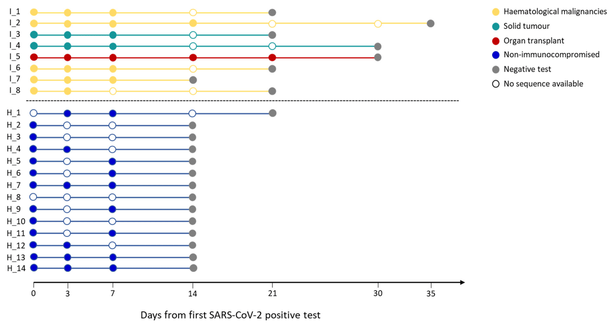 Immune System Deficiencies Do Not Alter SARS-CoV-2 Evolutionary Rate but Favour the Emergence of Mutations by Extending Viral Persistence by Manuto et al. Check it out now 👉mdpi.com/1999-4915/16/3… #COVID19 #ResearchPapers