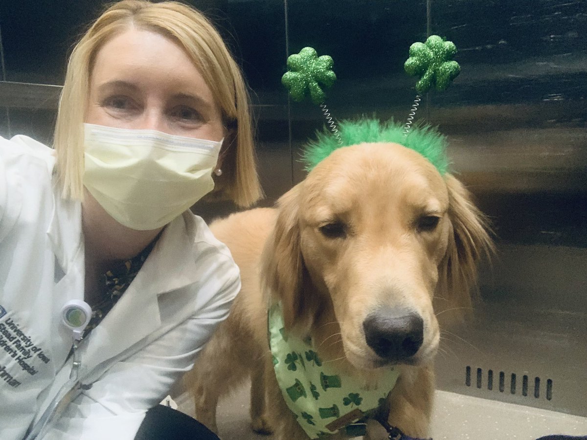Rounding is way more fun with Nacho the therapy pup ☘️ @uiowapedneph #pedneph