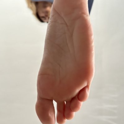 StompAndSmother's tweet photo. #steponyou #steponme #facestomp #footstomp #footbitch #feetpics #footpics #fullweightfeet @soleobsession7 has decided that you will be her new carpet. Congratulations, what a promotion. Now hold your face still so she can wipe her sweaty feet on it🦶🏻💯 https://t.co/Mq8euHdb1n