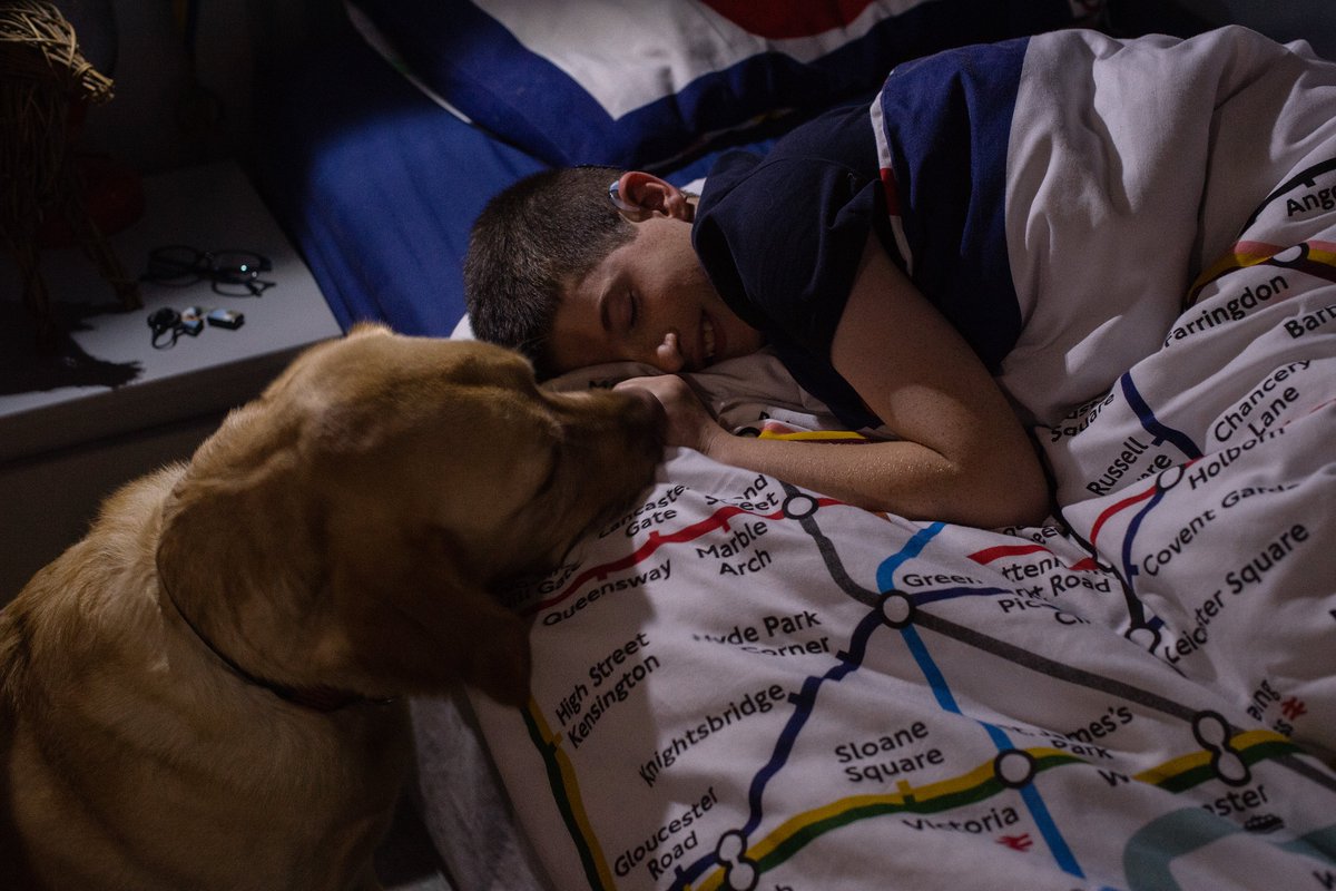 HearingDogs's tweet photo. Today is #WorldSleepDay, and for a lot of deaf people, night-time can be terrifying.

Because you need to take out all hearing aids before you sleep, many deaf people who would usually hear some sounds are transported to a totally silent world. 1/8 https://t.co/dsVrRuKxHb