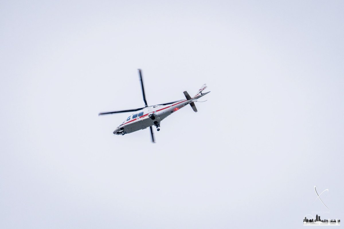 David Nathan tweet media