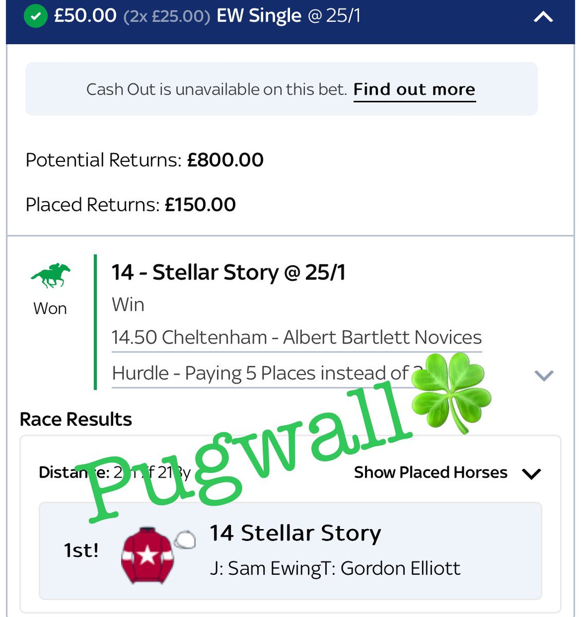 westbrom7777's tweet image. When a plan comes together at Cheltenham 🥳🥳