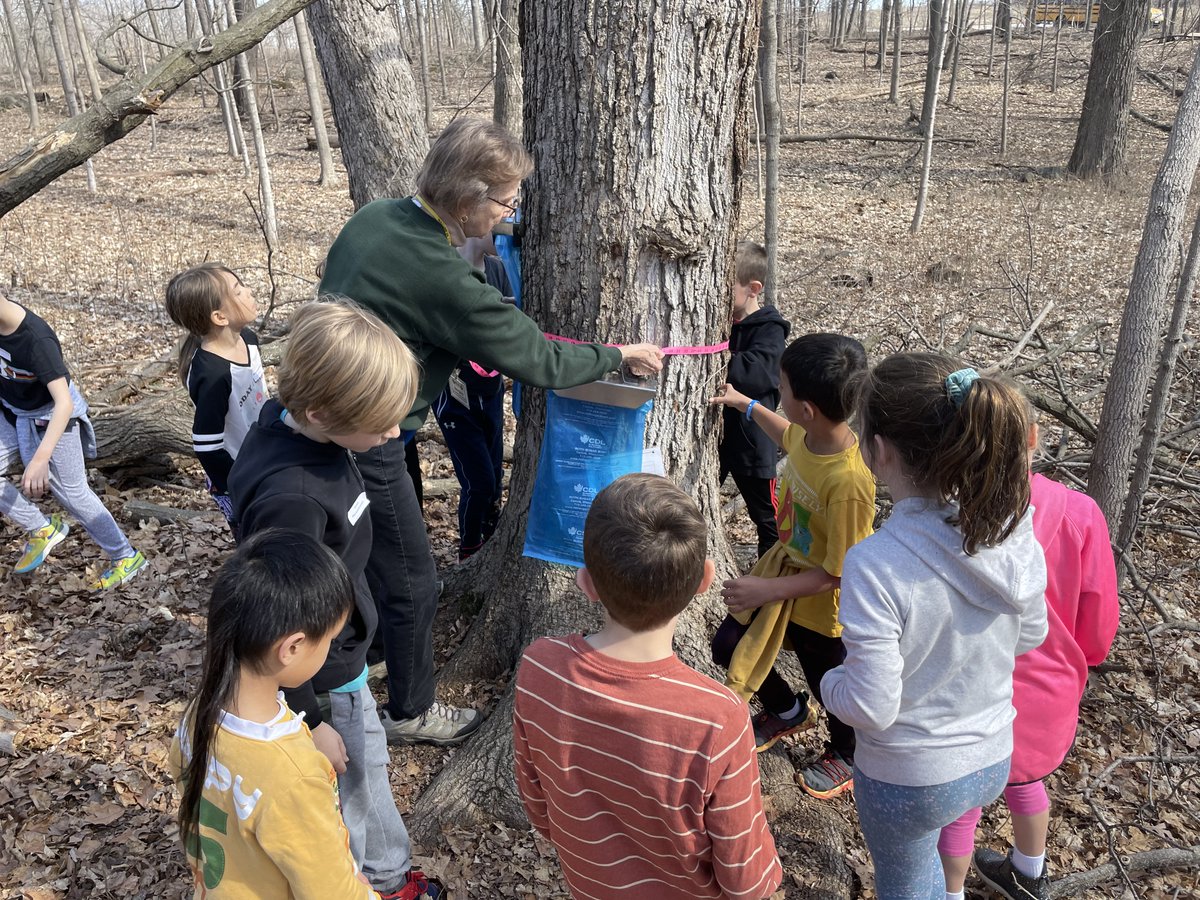WauwatosaSTEM's tweet photo. WSTEM classes had field trips to the Wehr Nature Center this week and were able to participate and learn about Maple Sugaring! Make sure to ask your student about their experience! https://t.co/v0ckHXwv15