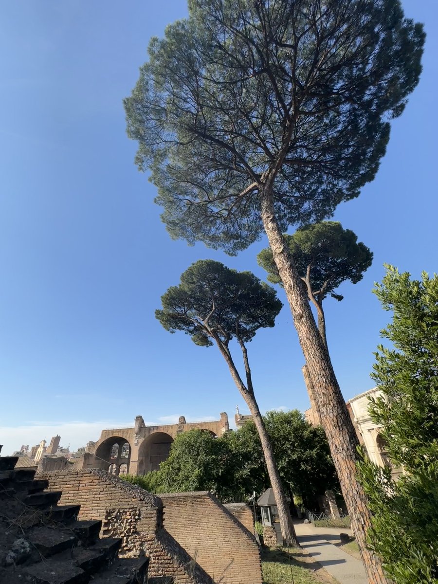 La memoria è una strana artista, ridisegna i colori della vita, cancella la mediocrità per conservare solo i tratti più belli, le curve più emozionanti di ciò che è stato.

 ~Marc  Levy ~

📸mia

#IGrandiPensieriDelCuore