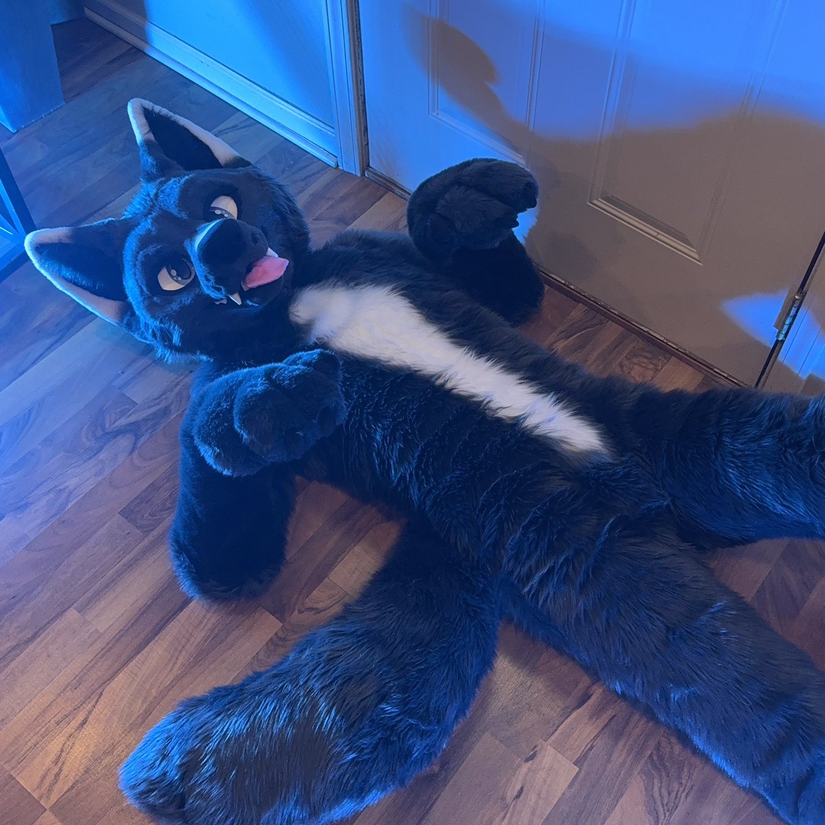 Waiting for you to walk in the door like: #fursuitfriday