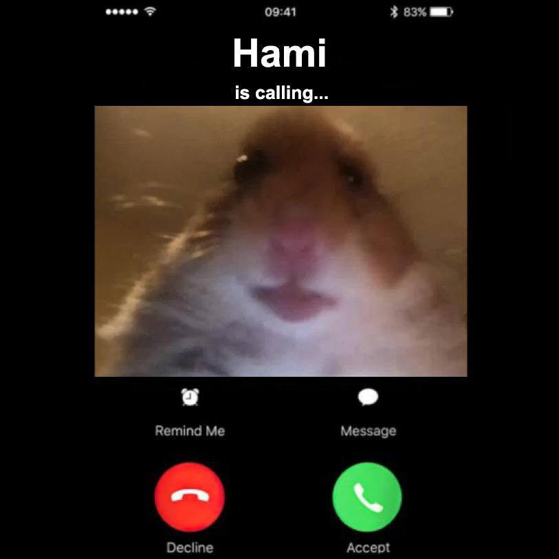 Hami tweet media