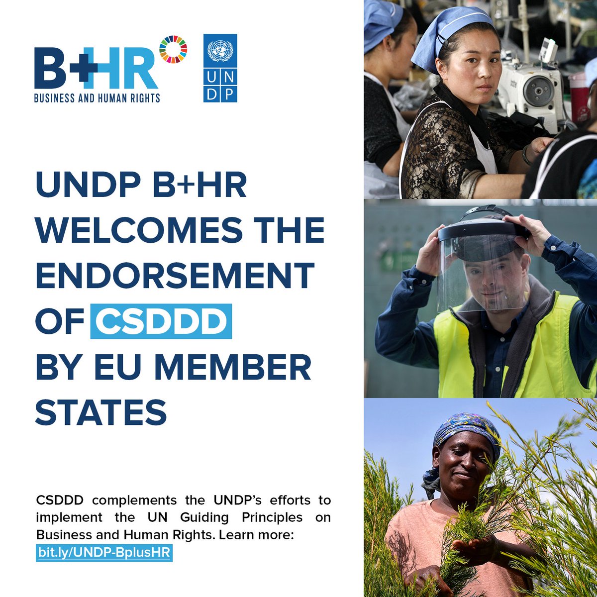 UNDP B+HR welcomes the endorsement of #CSDDD by  🇪🇺 Member States.

CSDDD complements UNDP’s efforts to support govts, #biz, civil society, National #HumanRights Institutions, human rights defenders, media & others in implementing the #UNGPs in 3️⃣9️⃣ countries across 5️⃣ regions.