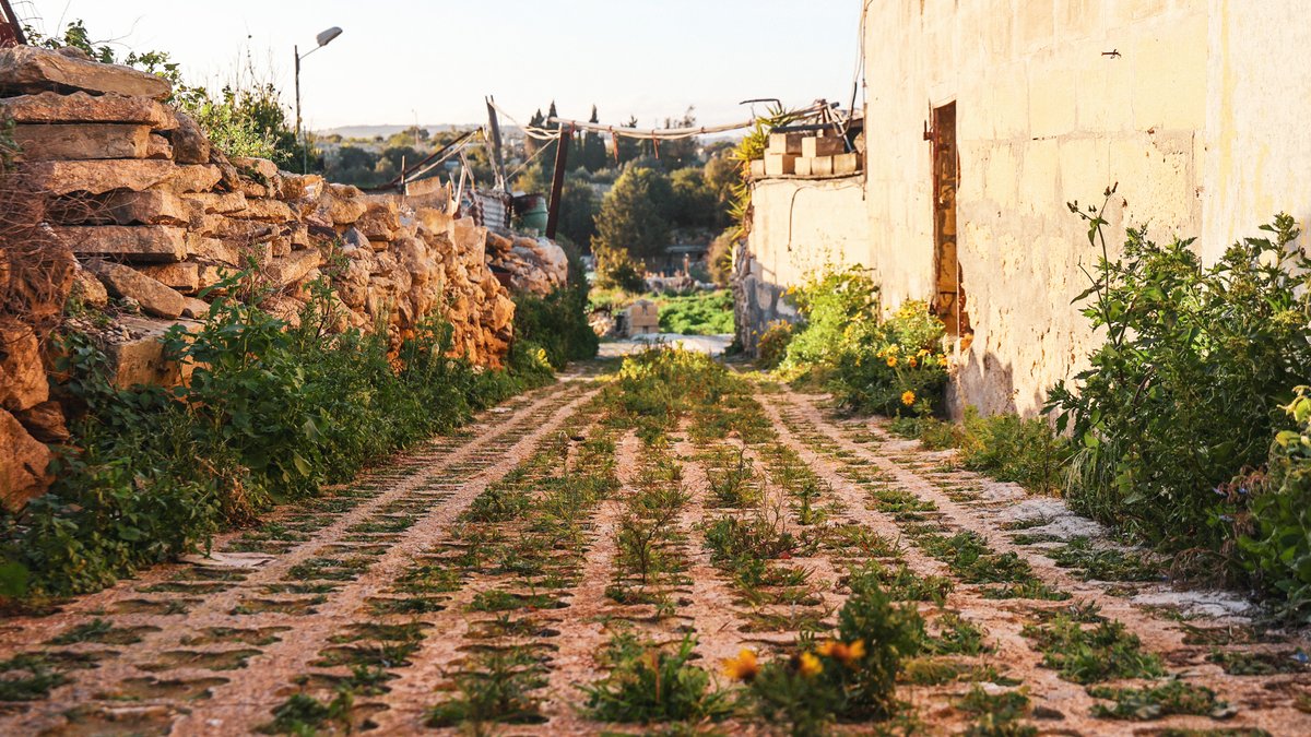 🍀 The recent rainfall, a blessing in its essence, has breathed life into our initiative within the confines of Żebbuġ, allowing it to blossom to its full potential. 🌱 The system, known as grasscrete, aids in the percolation of rainwater into the ground's natural reservoir.