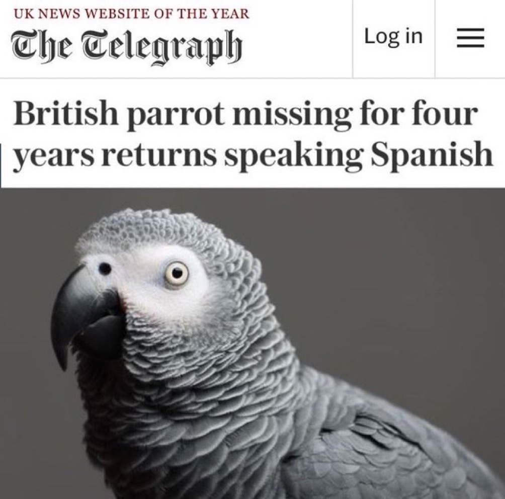 Out of Context Human Race tweet media
