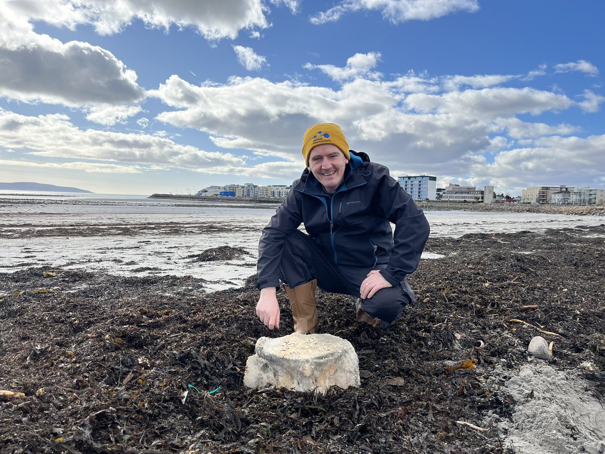 GalwayAquarium's tweet photo. Stunning Day @BioDataCentre Explore The Shore. Huge Whale Bone and a Glass eel❤️ #Grattan #Salthill https://t.co/wwcZMy8bFx
