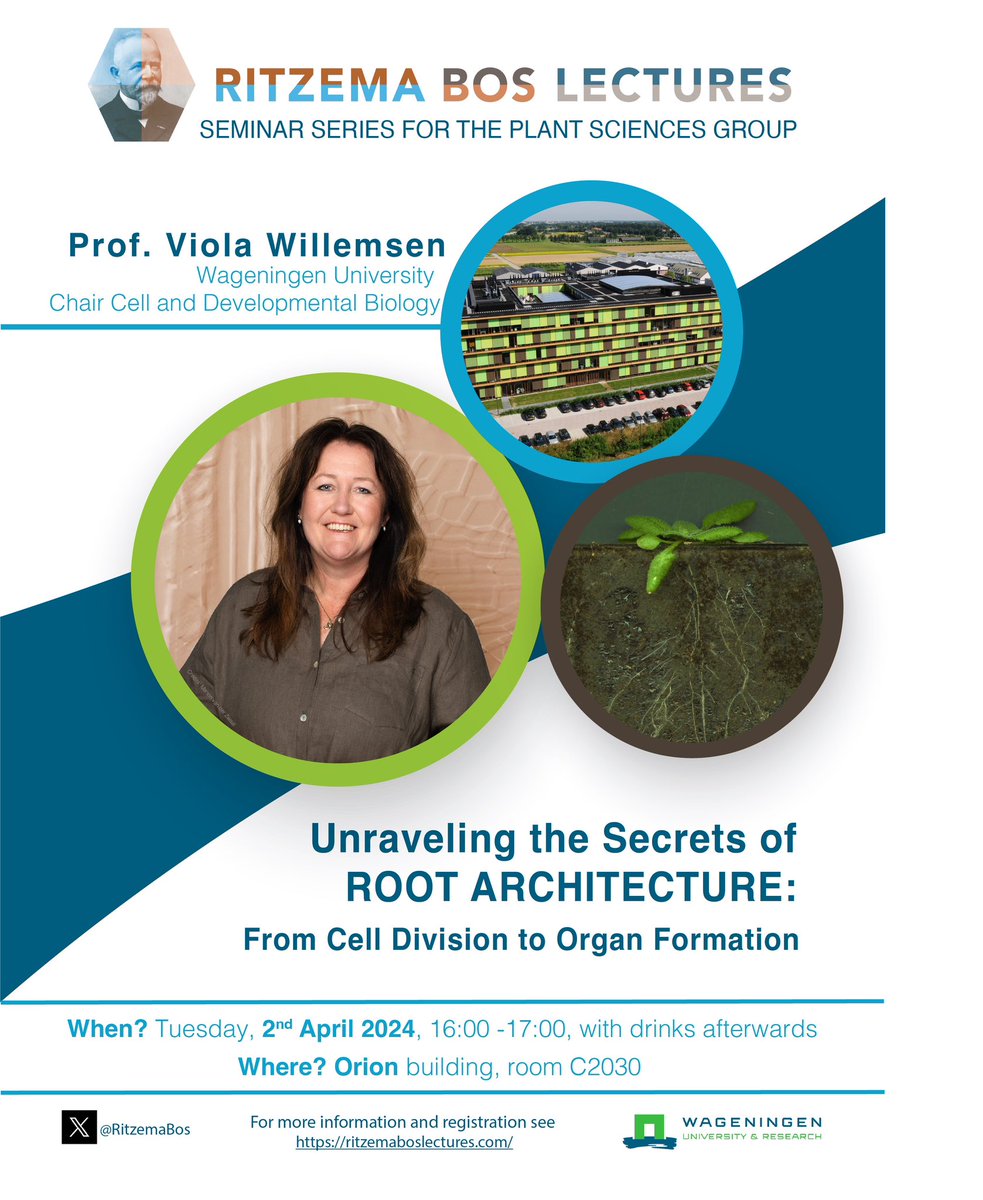 Our Ritzema Bos lecture series organized by Plant Sciences Group @wur @WURplant has re-started and we are happy that @ViolaWillemsen, chair of Cell and Developmental Biology at WUR will kick-off with her talk “Unraveling the secrets of #root architecture’ on April 2nd!