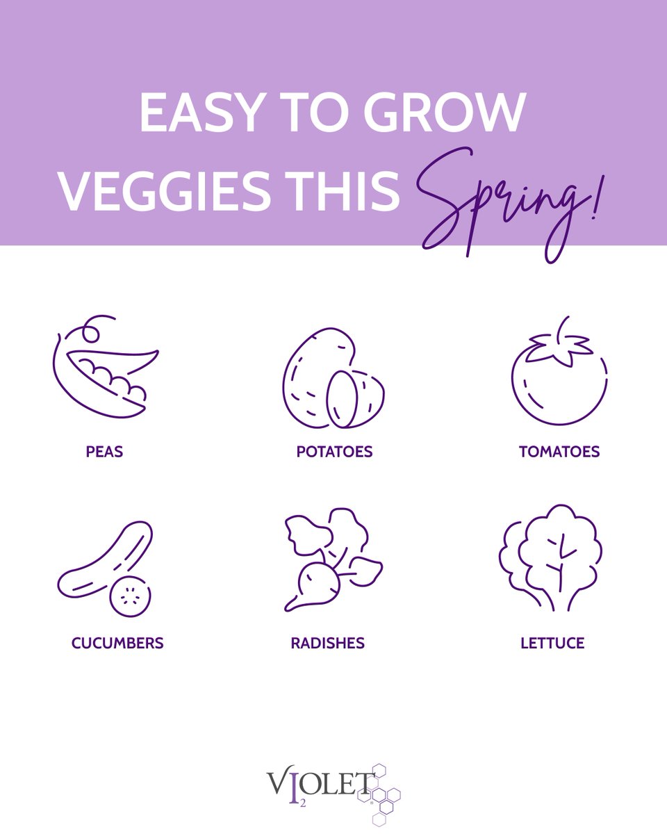 From seasoned gardeners to newcomers, growing your own veggies brings joy! Try easy-to-grow crops like potatoes and peas this season. Gardens create inspiration and fresh organic veggies support breast health. We call that a win-win!! 🥔🥒

#GrowYourFood #GardeningTips #FoodGoals