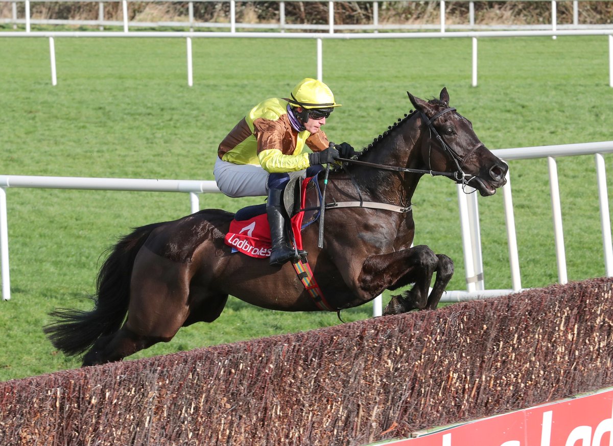 RacingPost's tweet photo. GALOPIN DES CHAMPS WINS THE 2024 CHELTENHAM GOLD CUP! 🏆 https://t.co/jS1jfgE6ud
