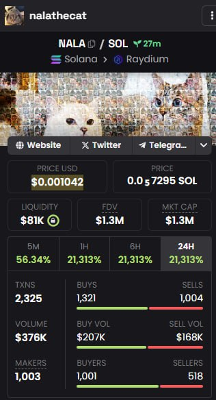 nalathecat tweet media
