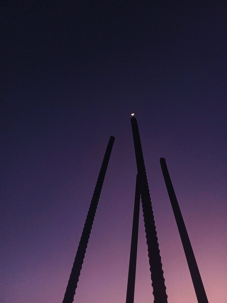 Luna 🇵🇸 tweet media