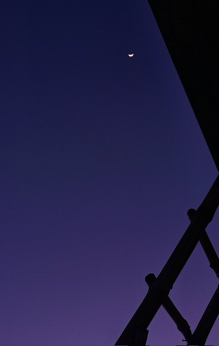 Luna 🇵🇸 tweet media