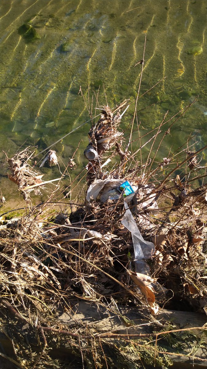 visitmarseille's tweet photo. @cjuste13 @CleanMyCalanque D'où viennent ces déchets ? Des rives borely qui attendent le prochain cevenol https://t.co/TsVeYB22As