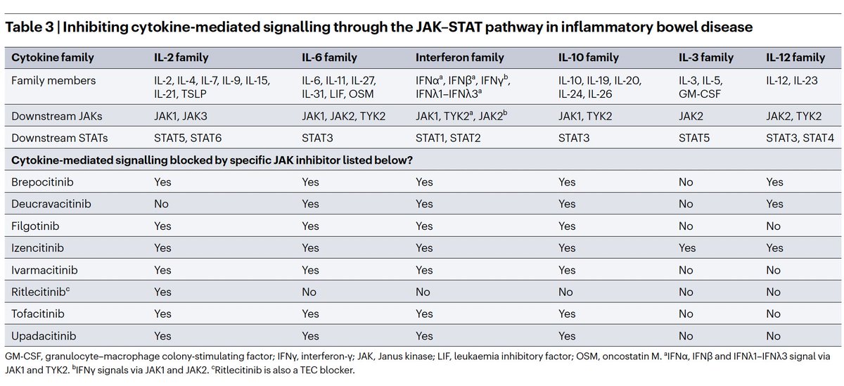 Dominik Bettenworth (@bettenworthdb) on Twitter photo 🚨Strategies for targeting cytokines in #IBD <a href="/NatRevImmunol/">Nature Rev Immunol</a>
Timely, comprehensive and elegant state of the art by #MarkusNeurath
<a href="/Y_ECCO_IBD/">Y-ECCO</a> <a href="/IBD_FloMD/">Florian Rieder</a> <a href="/fgomollon/">Fernando Gomollón</a> <a href="/I_Blumenstein/">Irina Blumenstein</a> <a href="/DCharabaty/">Aline Charabaty, MD, FACG, AGAF</a> <a href="/GianlucaPellino/">Gianluca Pellino</a> <a href="/bverstockt/">Bram Verstockt</a> <a href="/ibddoctor/">Peter Higgins</a> <a href="/IBD_JohnD/">John Ding MD PhD</a> <a href="/RajaAtreya/">Raja Atreya</a> 🚨Strategies for targeting cytokines in #IBD <a href="/NatRevImmunol/">Nature Rev Immunol</a>
Timely, comprehensive and elegant state of the art by #MarkusNeurath
<a href="/Y_ECCO_IBD/">Y-ECCO</a> <a href="/IBD_FloMD/">Florian Rieder</a> <a href="/fgomollon/">Fernando Gomollón</a> <a href="/I_Blumenstein/">Irina Blumenstein</a> <a href="/DCharabaty/">Aline Charabaty, MD, FACG, AGAF</a> <a href="/GianlucaPellino/">Gianluca Pellino</a> <a href="/bverstockt/">Bram Verstockt</a> <a href="/ibddoctor/">Peter Higgins</a> <a href="/IBD_JohnD/">John Ding MD PhD</a> <a href="/RajaAtreya/">Raja Atreya</a>