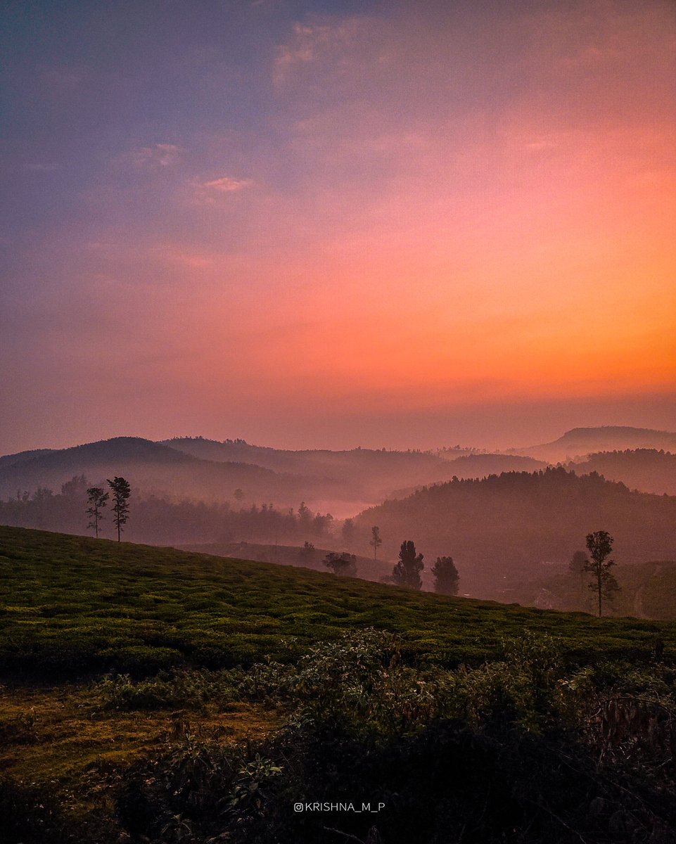Sunrise ☀️
.
.
#ooty #colorful #sunrise #traveldairies #oneplusphotography