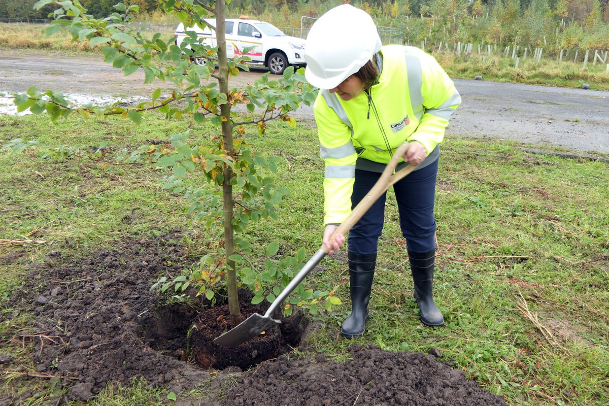 Thousands of trees have been planted at #Samlesbury Enterprise Zone, as part of landscaping and ecology work on the site.

Our council leader Phillippa Williamson planted a tree during a visit to see the progress on the former BAE Systems runway site.
👉 news.lancashire.gov.uk/news/trees-pla…