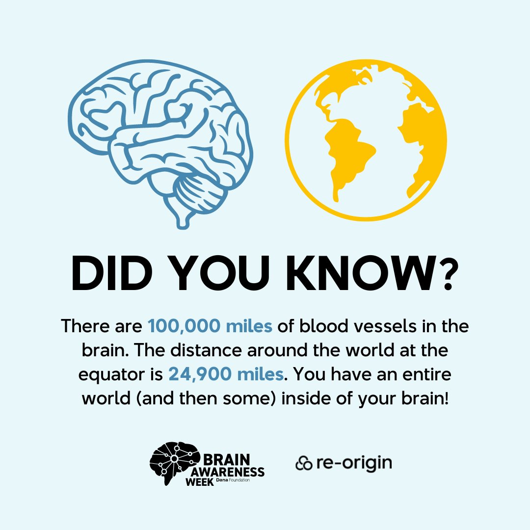 It’s Brain Awareness Week! 🌟

From March 11-17, we’re joining <a href="/dana_fdn/">Dana Foundation🧠</a> in the global campaign to foster public enthusiasm and support for brain science.

Learn how your brain can help you heal with re-origin! 

#BrainAwarenessWeek #BrainWeek