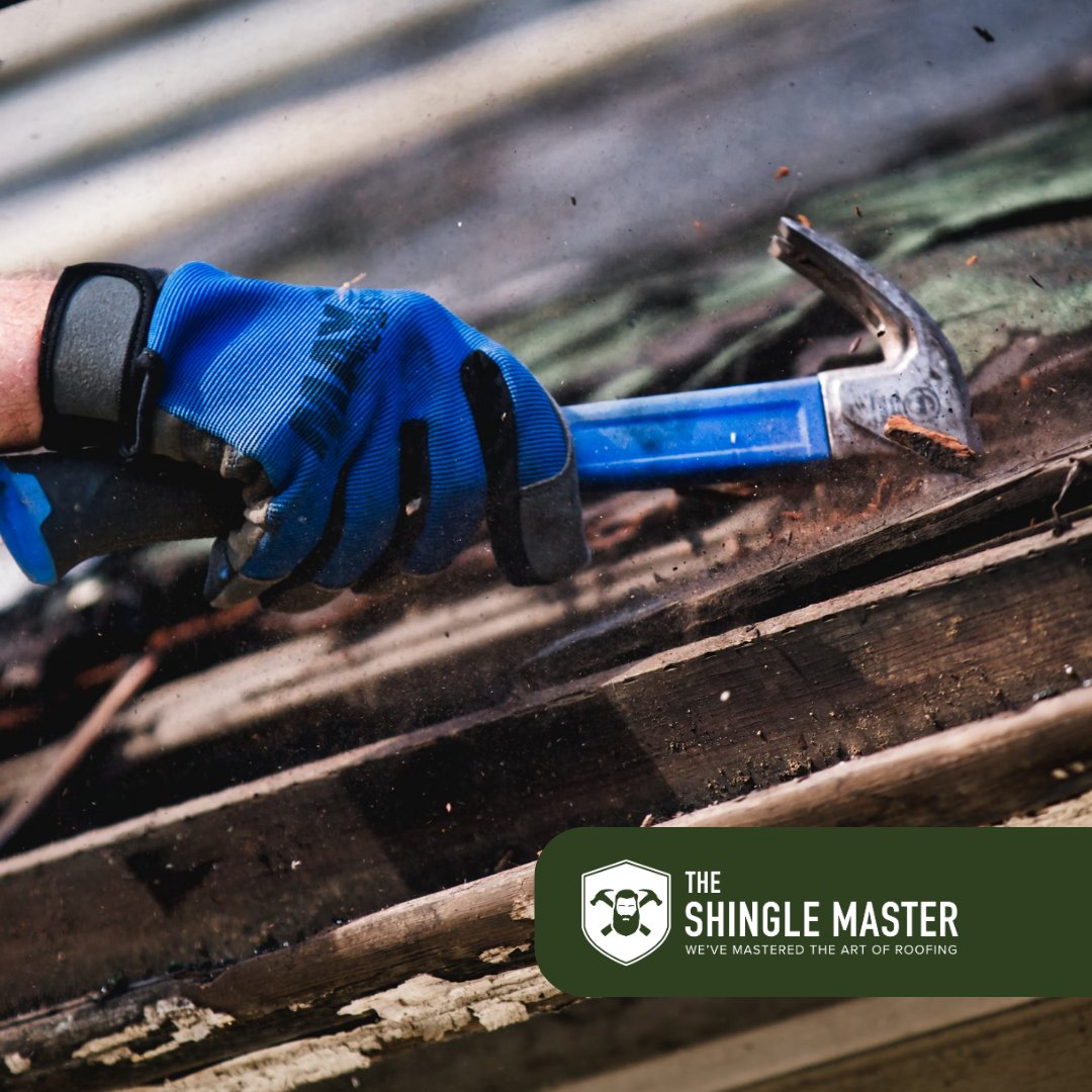 March into stress-free roofing! 🏠 Our team at The Shingle Master makes your satisfaction our top priority. From quick installations to hassle-free insurance claims, we've got you covered. #theshinglemaster #eatsleeproof #protectingwhatmatters

Call us: (919) 324-6516