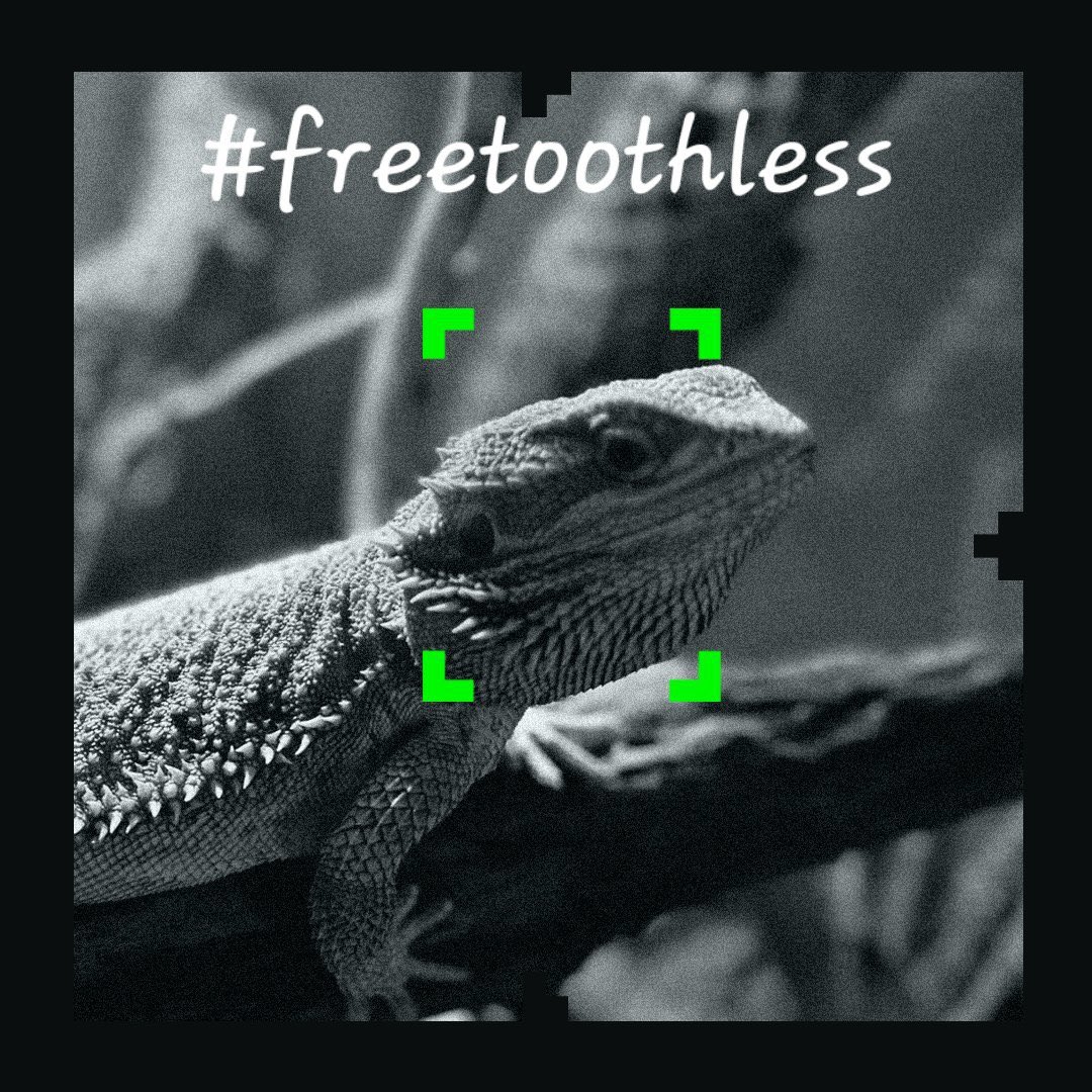 SprayitupJ's tweet photo. Ohhh Snap tha Goat himself is live!!! https://t.co/sh5rAFbQgb @KickCommunity #freetoothless https://t.co/f0g8gMh364