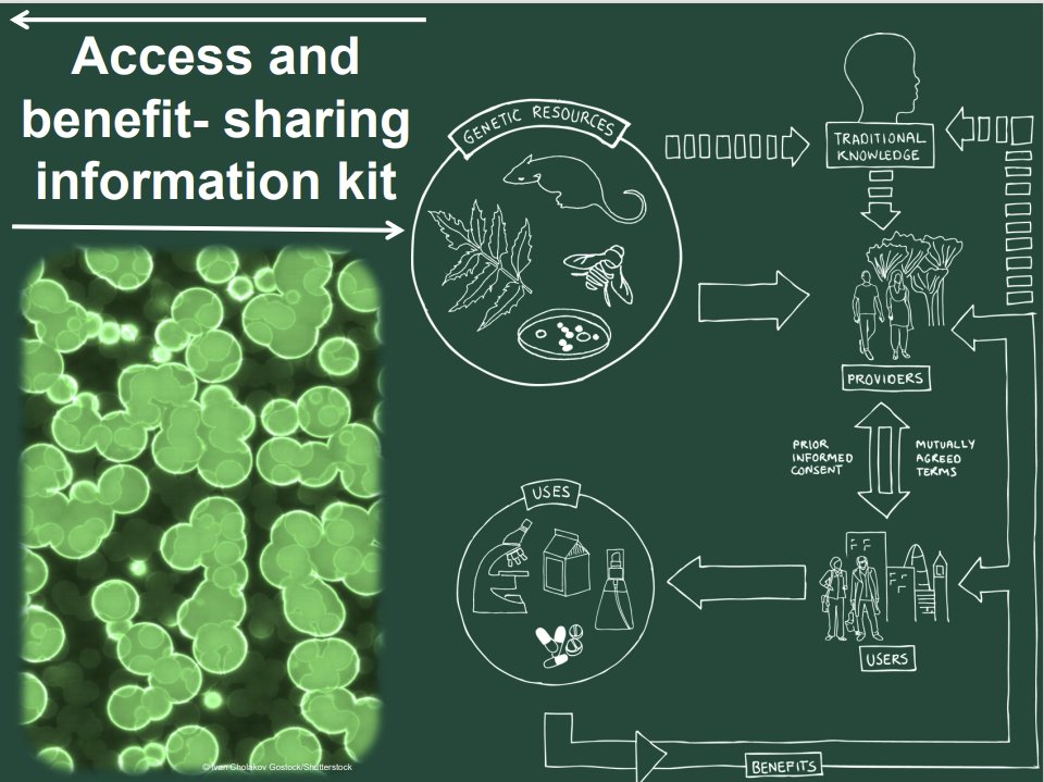 What is the #NagoyaProtocol on #AccessAndBenefitSharing and why is it important?
Learn more through the communications materials on our website, including:
✅Factsheets
✅Briefs
✅PowerPoint presentations
Available in AR | EN | ES | FR | RU | ZH | PT
cbd.int/abs/resources/…