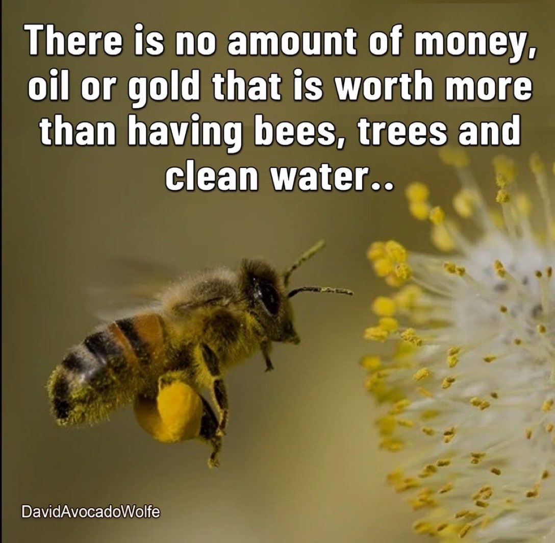 @BeeAsMarine 🆘 Please Sign The Petition 
To Ban Pesticides…
👉 change.org/SaveTheBee

No Bees = No Us 

#SaveTheBees 
#IfTheyDieWeDie 🐝🐝