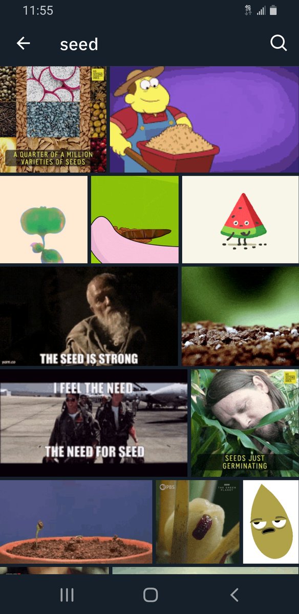 MansfieldBenz's tweet image. ...&quot;#TheOrginalConversation: The new moon is tomorrow and that is the best moon to plant seeds. That is part of the #basiclogic that will help people endure. I&apos;m partial to that phase of moon, as that is my birth moon...happy seed planting to people that do!