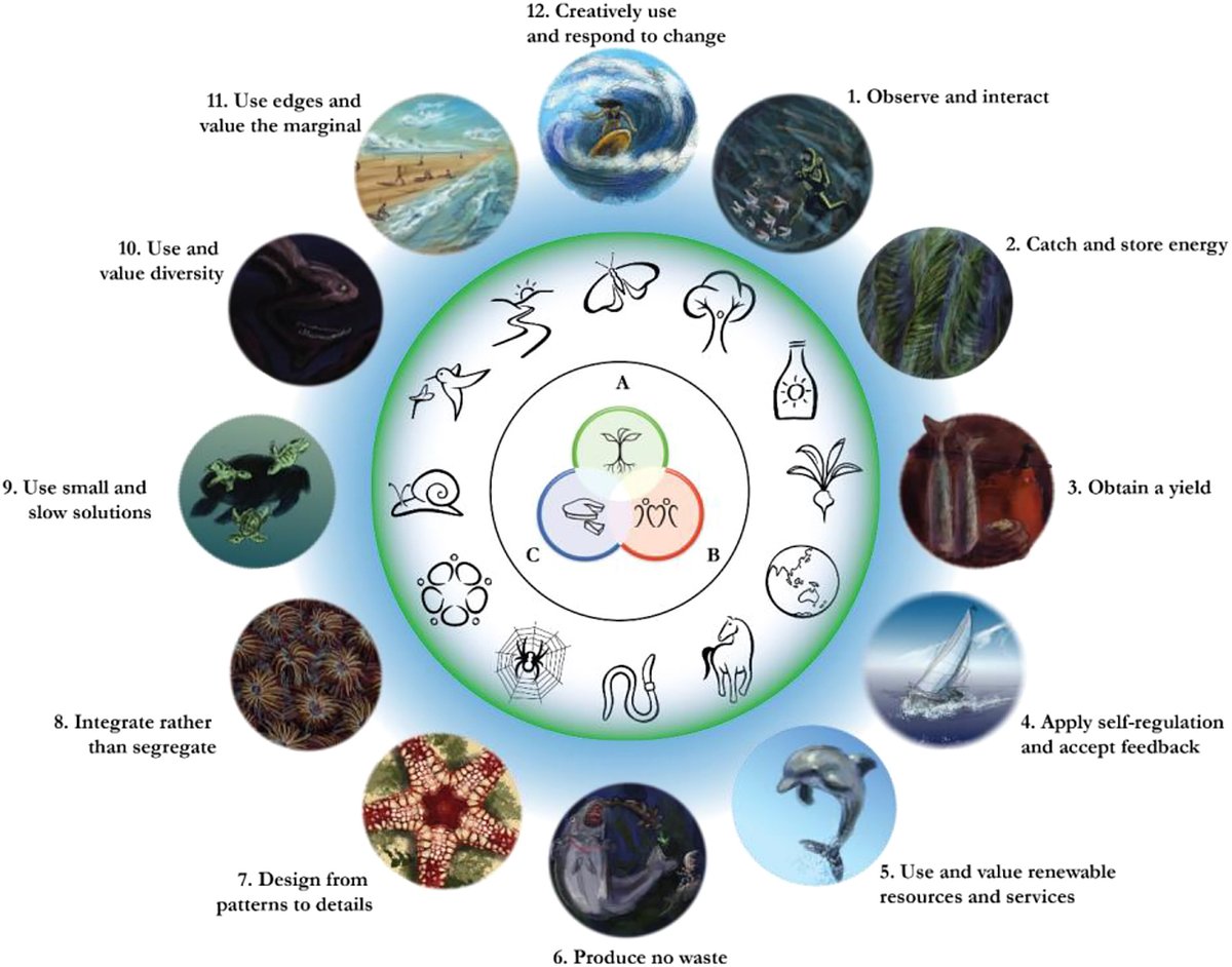 Can oceans accommodate increased development envisioned by the Blue Economy? Spillias & colleagues present a framework that could guide future management. Read more here: sciencedirect.com/science/articl…