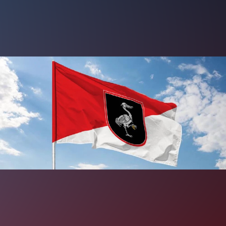 Vexiupdate - Flag News tweet media