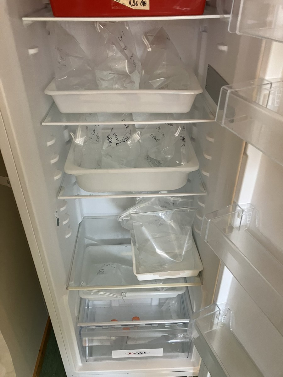 Neil Glasser (@neilnfg) on Twitter photo Todays job: sample processing from the six previous field days <a href="/Arctic_Office/">NERC Arctic Office</a> <a href="/NERCscience/">Natural Environment Research Council</a> <a href="/arwynedwards/">Arwyn Edwards</a> <a href="/andymitch20/">Andrew Mitchell</a> Todays job: sample processing from the six previous field days <a href="/Arctic_Office/">NERC Arctic Office</a> <a href="/NERCscience/">Natural Environment Research Council</a> <a href="/arwynedwards/">Arwyn Edwards</a> <a href="/andymitch20/">Andrew Mitchell</a>