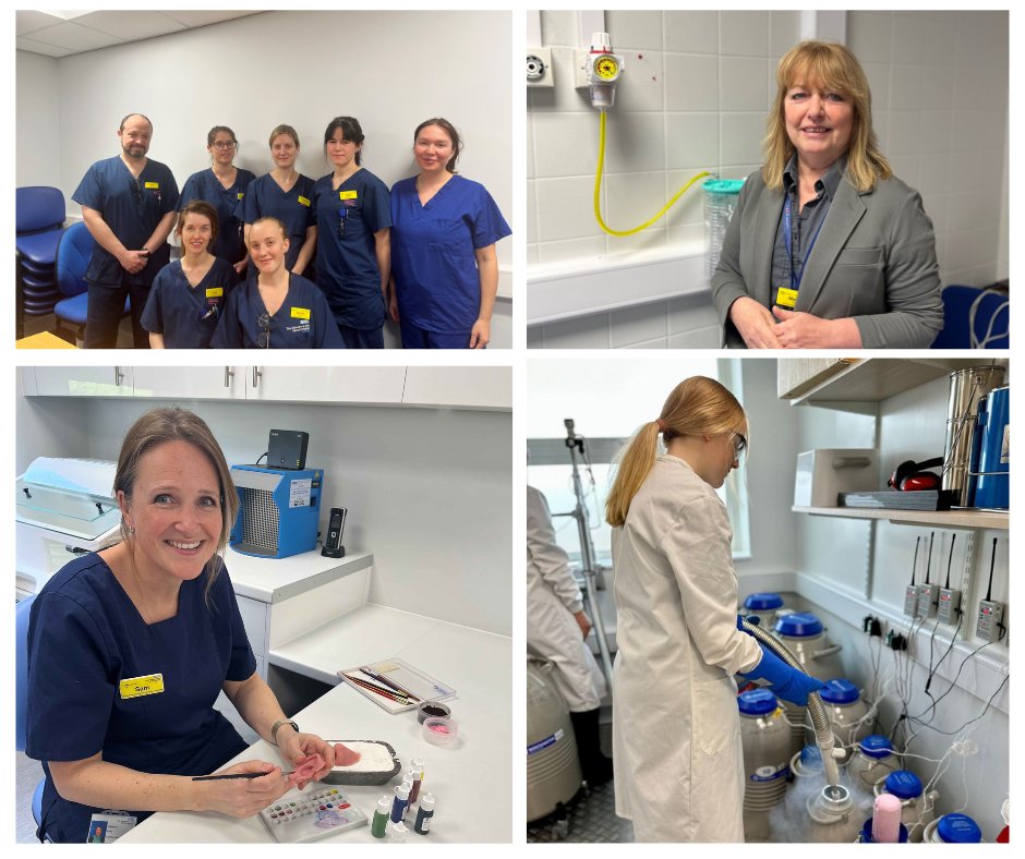 sathNHS's tweet photo. We have enjoyed showcasing the work of our Healthcare Scientists this week. Read about them here https://t.co/8ltcuGgPEy
#HealthcareScienceWeek2024 https://t.co/PmwcwVRhyj