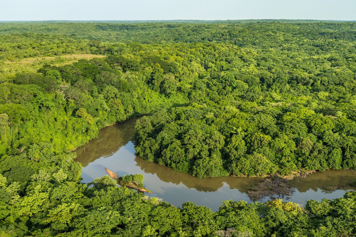 AfricanParks's tweet image. The Chinko team in CAR with the support of the European Union and @USAID is working with local radio stations to provide skills training to employees, and helping them host environmental programs designed to speak to local communities about the importance of conservation.