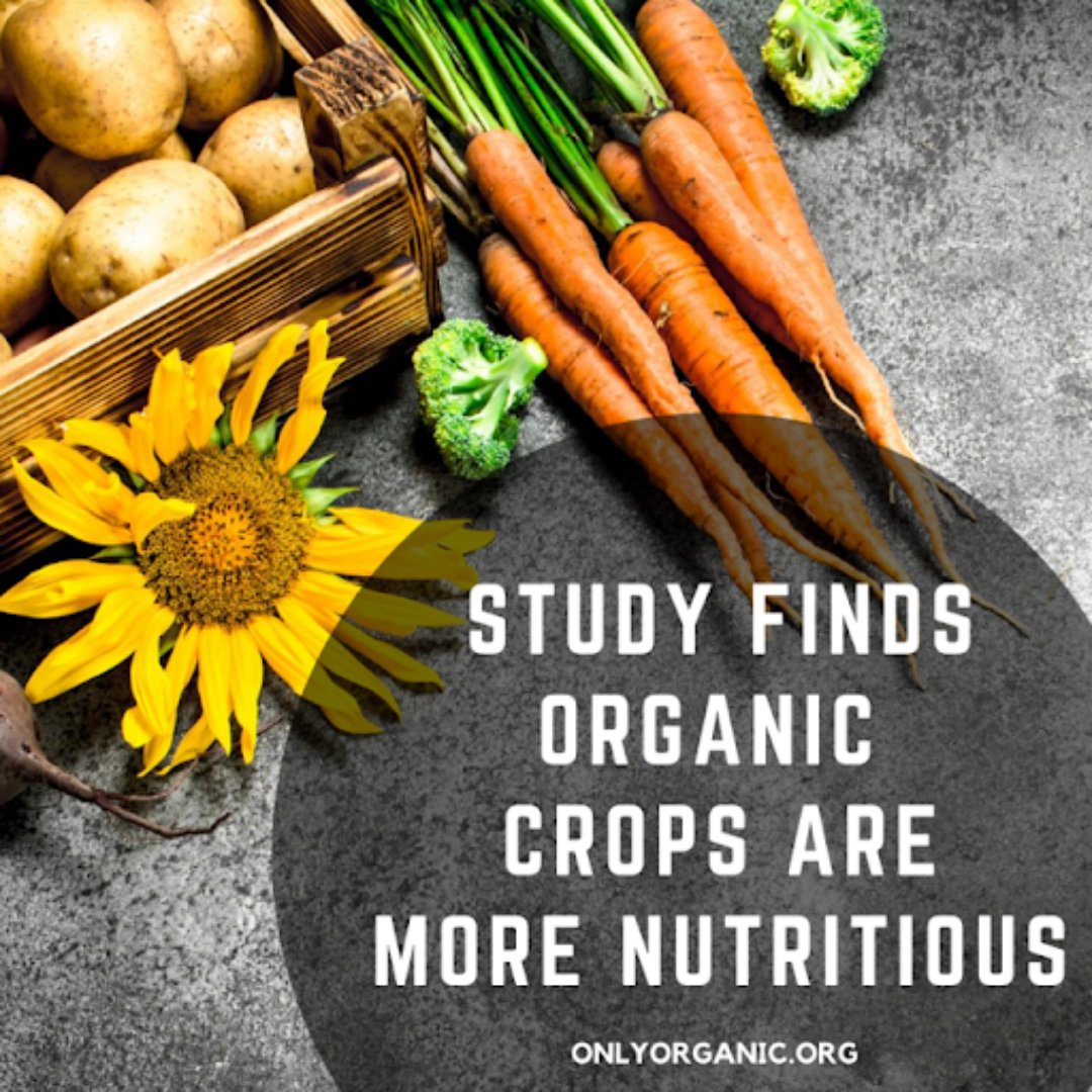 Organic Voices tweet media