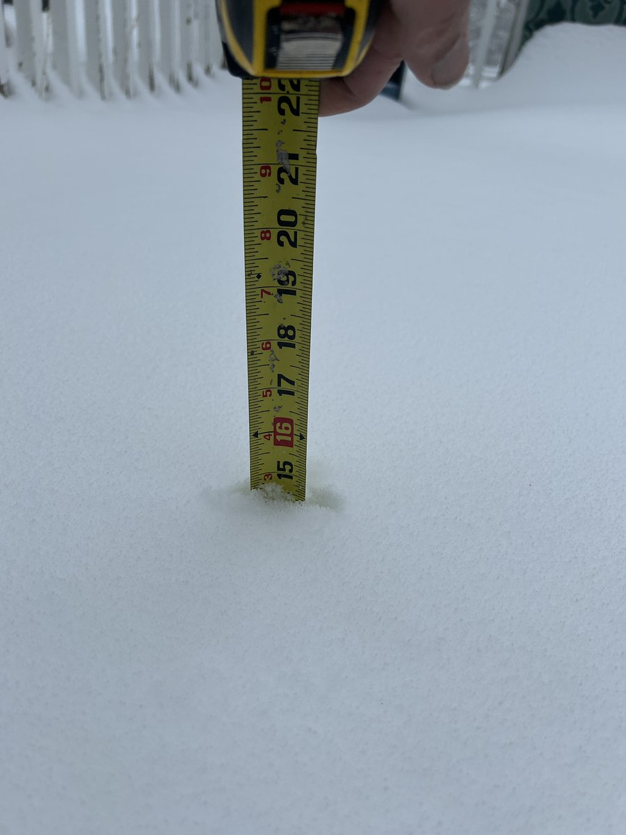 hammy505's tweet photo. Measured in several spots…15” in Black Forest: Vollmer 2 miles S of Hodgen @NWSPueblo @kodythewxguy https://t.co/MSVKiAAWA7