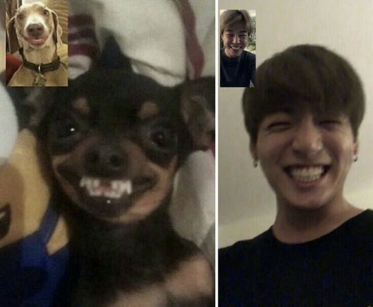 jikookdevil's tweet photo. https://t.co/zEvZJXDXy9