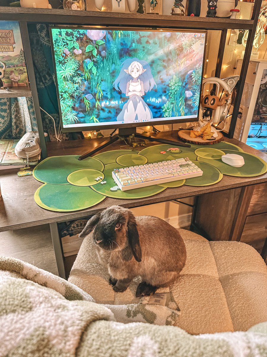 Simplehylian's tweet photo. He’s a gamer 🥺🐰🌱 https://t.co/o1hPSVw6Mh