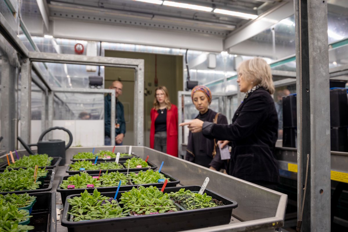 Great event at @susfoodshef with @Food_Foundation today. We heard from @sheffielduni academics about their innovations to tackle food inequality. Thank you to our speakers for helping us shine a light on this centre of excellence and @Abtisam_Mohamed for coming. #BSW24