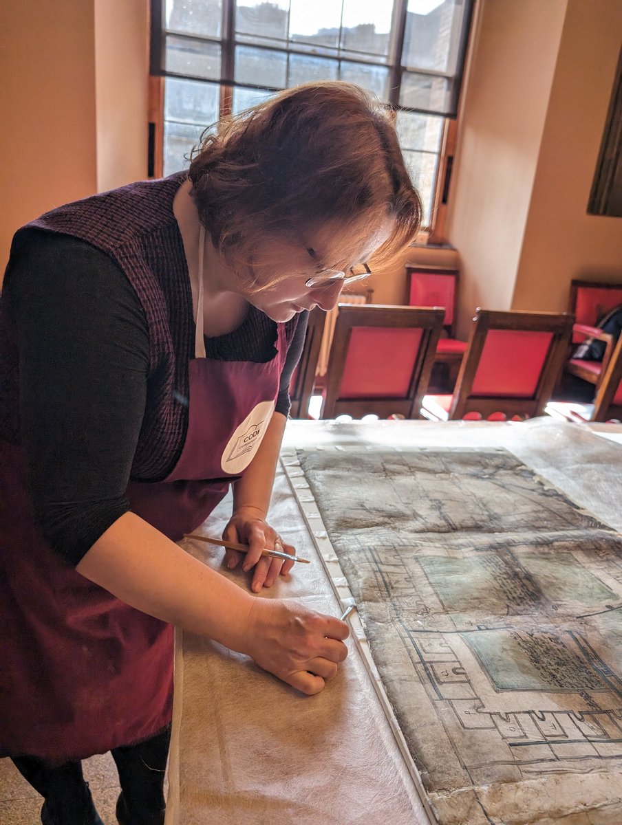 Codex Conservation tweet media